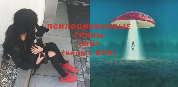 каннабис Алексеевка