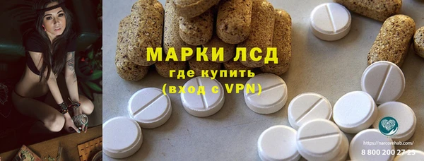 винт Алзамай