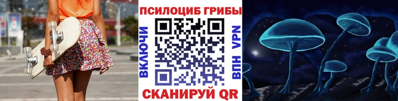 Псилоцибиновые грибы Psilocybe  Красноуральск 